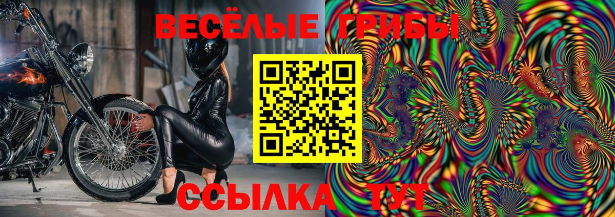 Псилоцибиновые грибы мухоморы Балашов